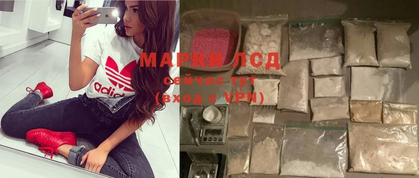 ПСИЛОЦИБИНОВЫЕ ГРИБЫ Елизово