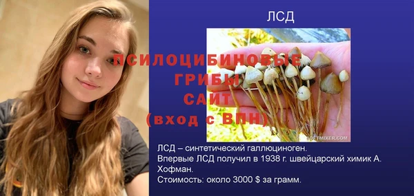 MDMA Ельня