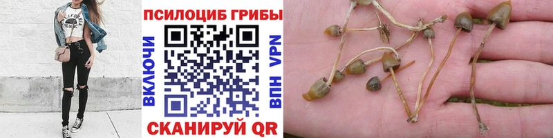 Купить закладки  Сольцы  Галлюциногенные грибы GOLDEN TEACHER 